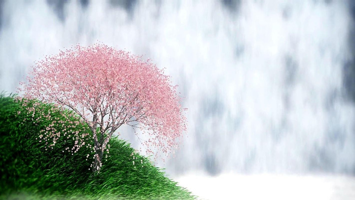 Ψ��ӣ������̬��Ƶ�ز� mov