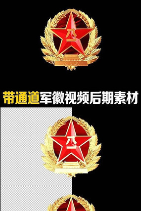 ���� ��Ƶ