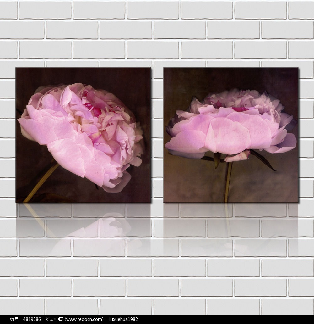 ��������޿����