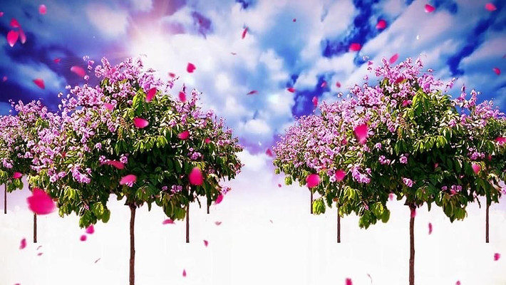 ˮ�ɿ�����