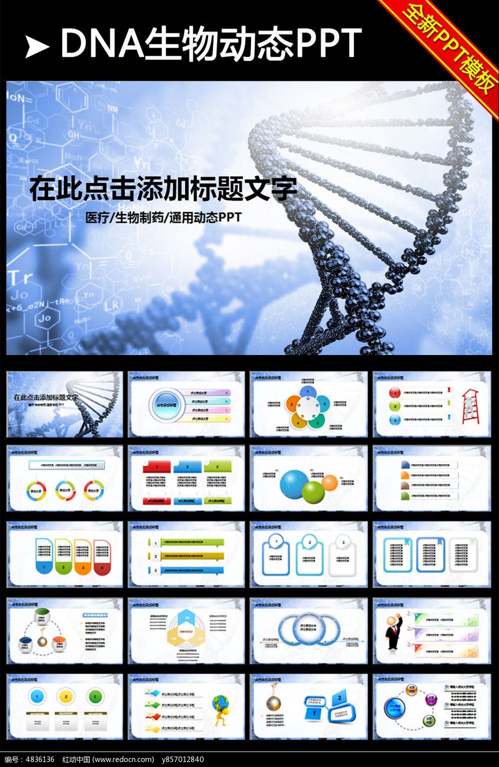 紅動網提供醫療美容ppt精品原創素材下載,您當前訪問作品主題是基因