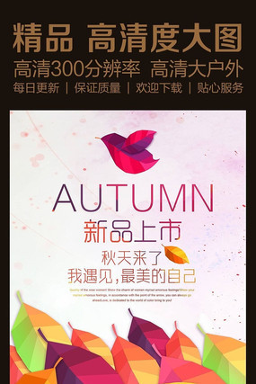 �̳���������