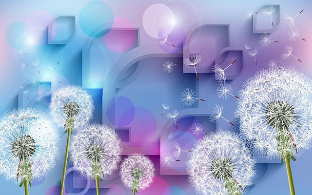 �ѹ�Ӣ�ִ����屳��ǽ