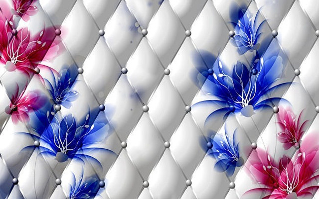 Ѥ���ʻ��ִ���Լ���ӱ���ǽ