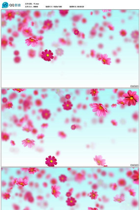 ��ɫ���ջ�