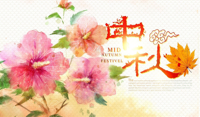 Ũ��������