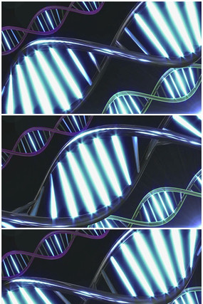 DNA视频素材 DNA视频素材