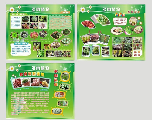 ��ɫչ�� CDR