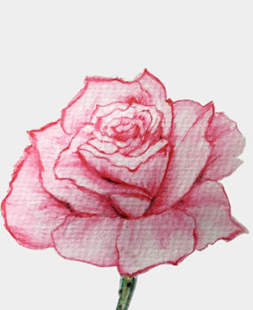 �ֻ�õ�廨 PSD