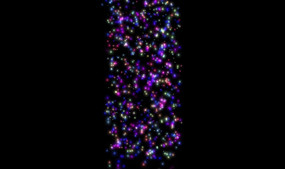 ��ɫ�ǹ�������Ʈȥ mpg