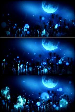 Ψ����ɫ����������̨led��Ƶ mov