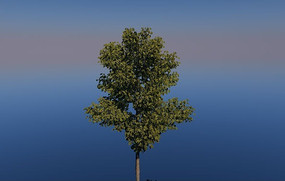 ����C4Dģ��