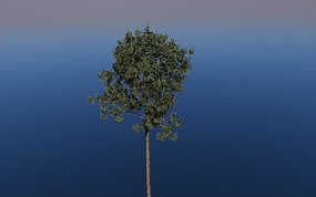 ����C4Dģ��