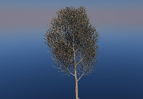 ��Ҷ��C4Dģ��