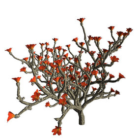 �͹�ľc4d��ģ