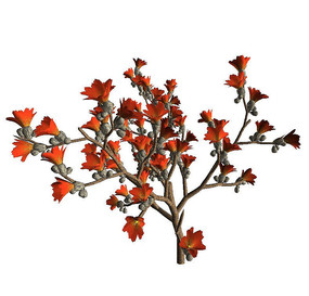 �͹࿪��c4d��ģ