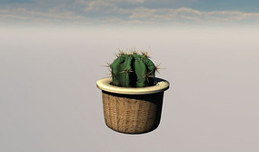 ��������C4Dģ��