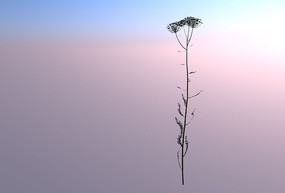 ������C4Dģ��