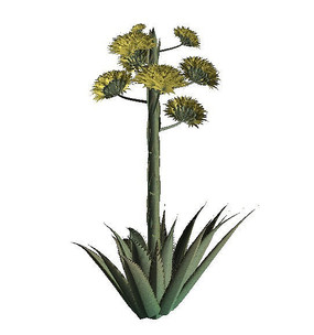 开花掌c4d灰模 开花掌c4d灰模