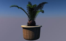 ���¥C4Dģ��