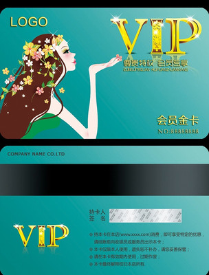 ������������VIP�� PSD