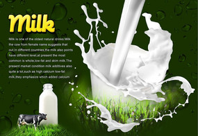 ţ����ɫʳƷ����psd�ֲ�ͼ