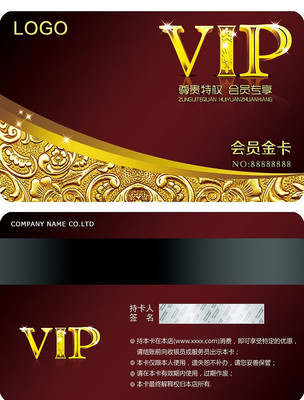 �ߵ���ʯ��VIP�� PSD