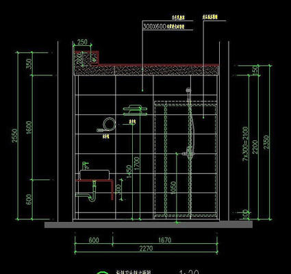  �Ƶ�������������ͼ CAD