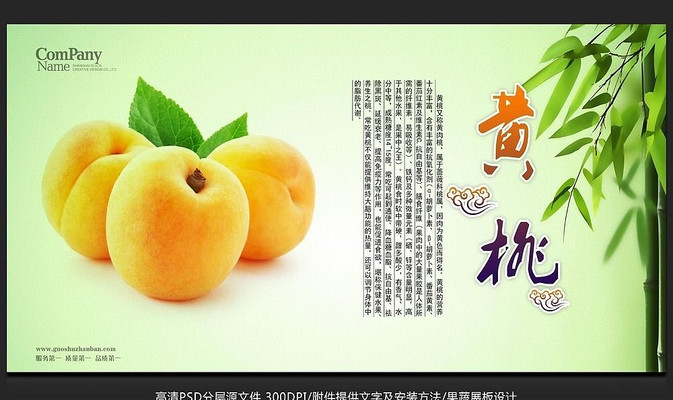 Ψ������