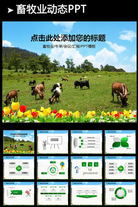 动态农业畜牧业新农村奶牛PPT模板 pptx