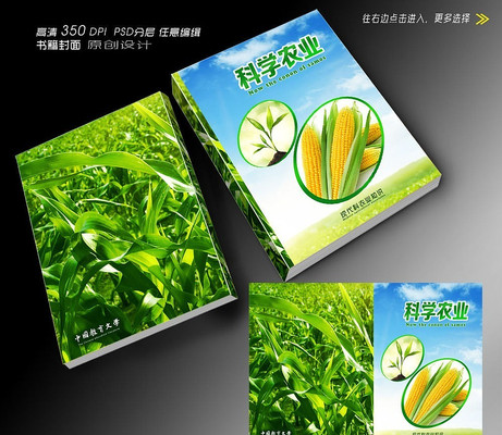 ũ�� ����