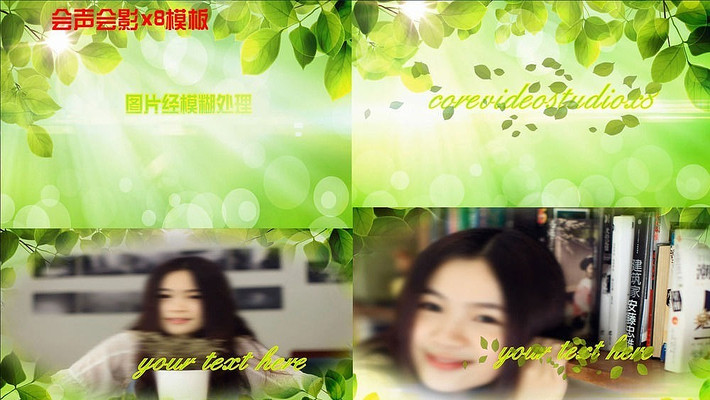 X8��������д��ͼ�Ļ�����Ӱչʾģ�� vsp