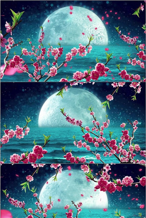 Ψ�������һ���������̨led��Ƶ mov