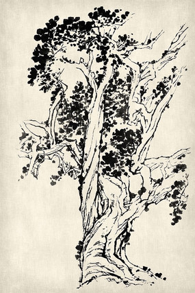 水墨古树国画小叶点簇笔法挂图