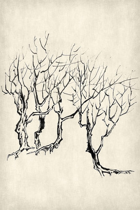 ����д��