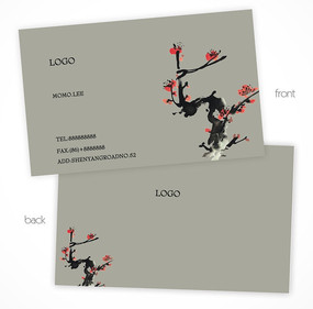 �ŵ��й��絭����Ƭ