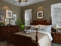 ������ֲ