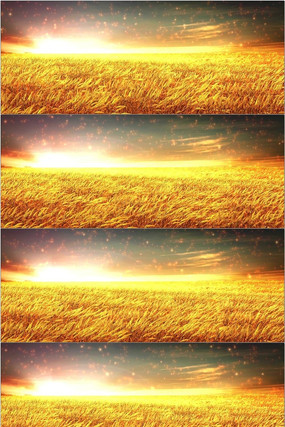 ��ɫ����������̨led��Ƶ mov