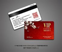 ϲVIPԱ