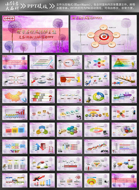 Ů��ҽ�ƽ���PPT���