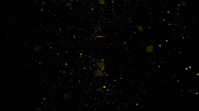 �������Ӷ�̬��Ƶ�ز�