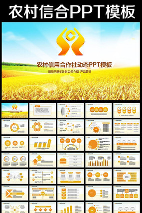 ũ�����ú����������ܽṤ���㱨PPT pptx