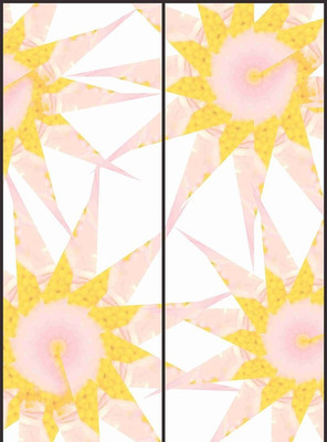 ��ɫ��������ͼ�� CDR