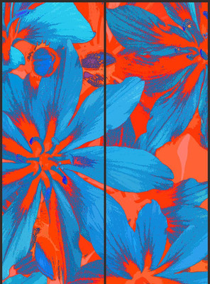 ɫ�ʻ���װ��