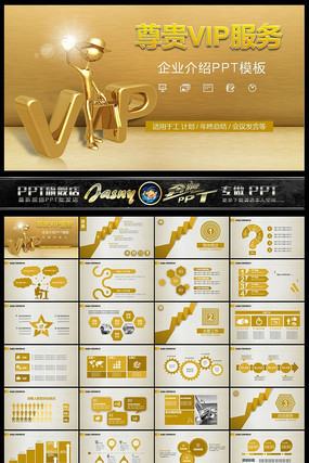 尊贵VIP服务介绍PPT模板 ppt