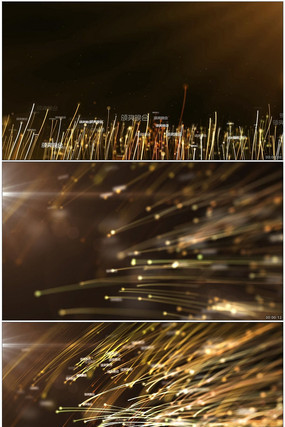 ��ɫ���ӹ����Ƶ�ز� mov