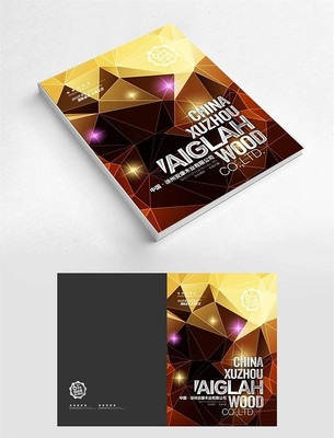 金色几何背景画册封面设计 金色几何背景画册封面设计