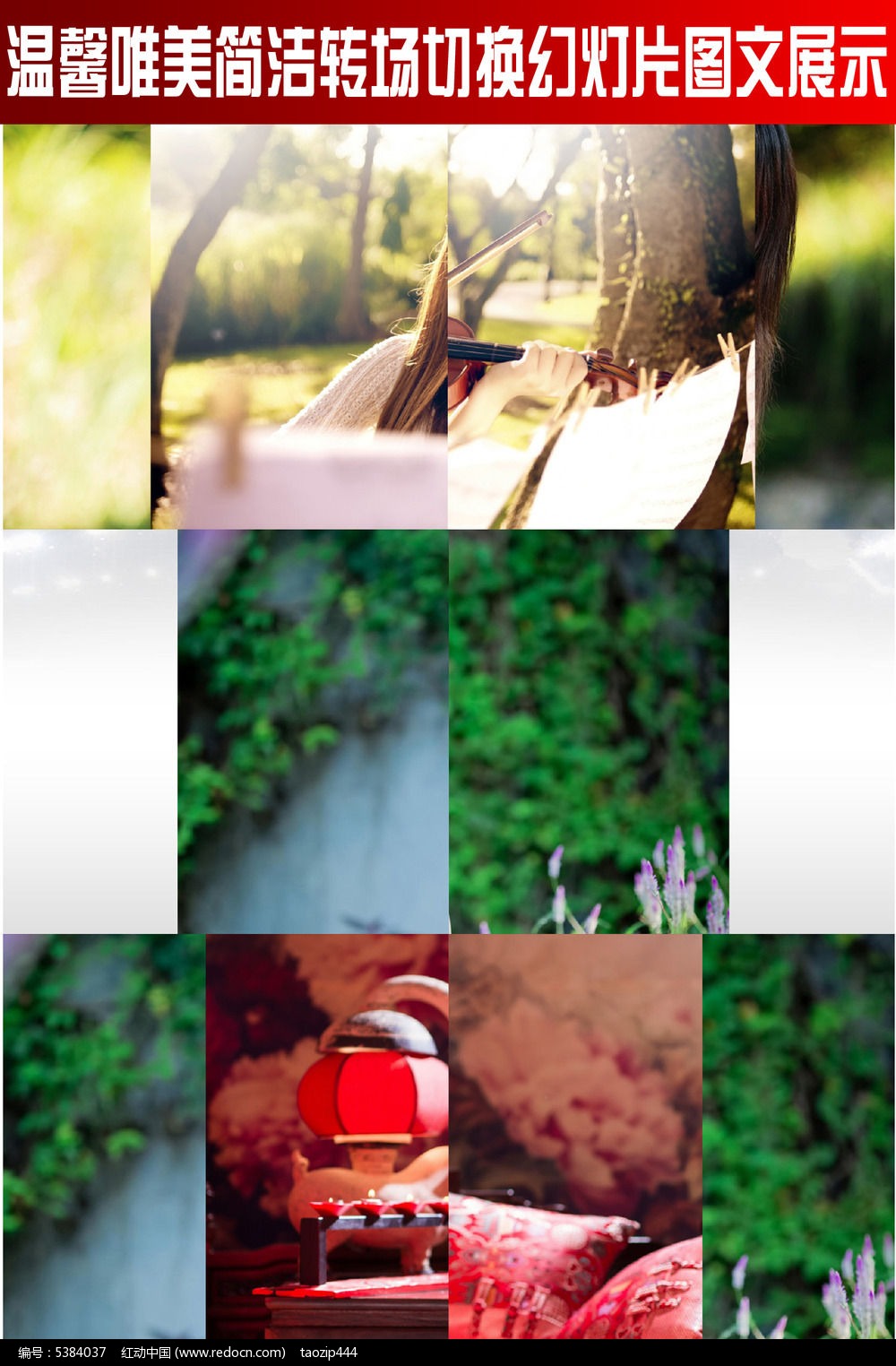 ��ܰΨ�����ת���л��õ�Ƭͼ��չʾ