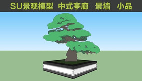 Ư��������SUģ�� skp