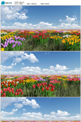 �����㶯̬��Ƶ